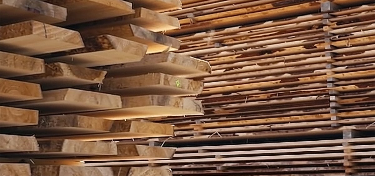 Different Types of Wood and their Properties