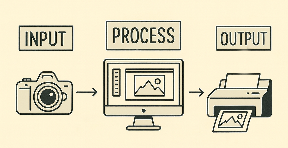 Digital System Process Input Electronic Components: Input & Output Devices, Amplification & Feedback ...
