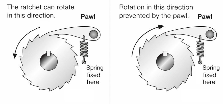 Diagram of a ratchet and pawl mechanism