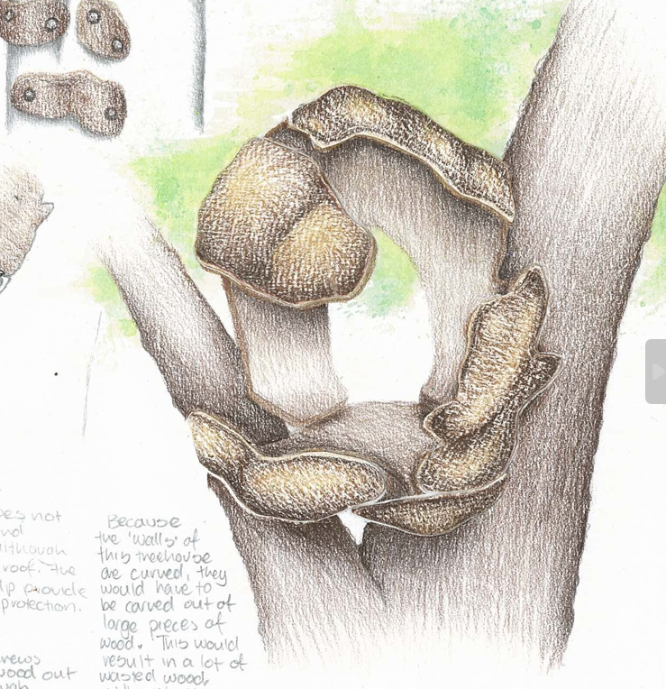 Textured paper used to create bumpy surface